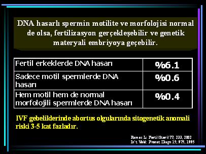DNA24