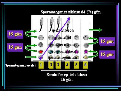 Ders10