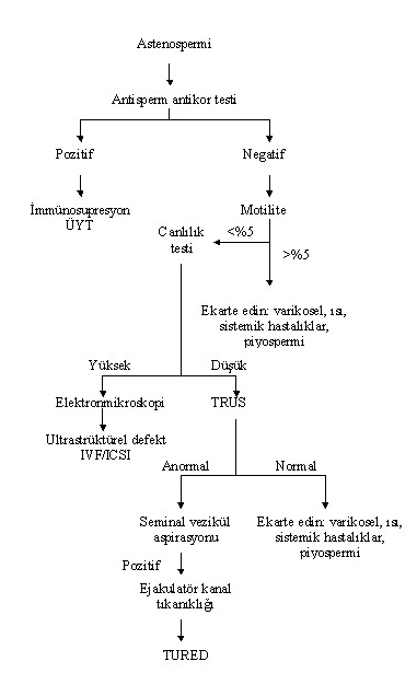 astenozoospermi_2