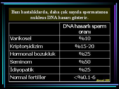 DNA4