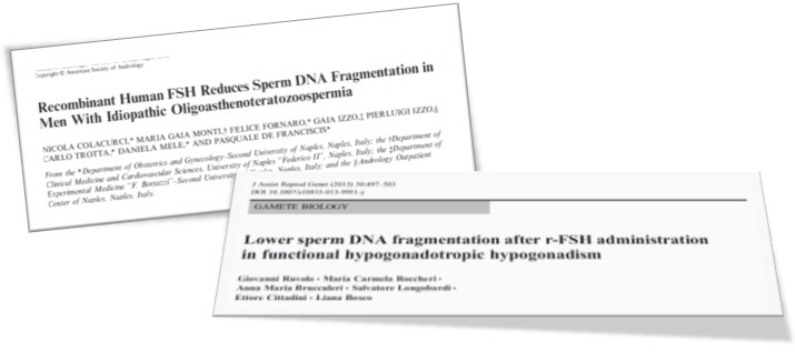 dna_hasarlari