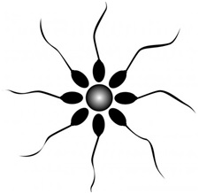 dna_hasarlari5