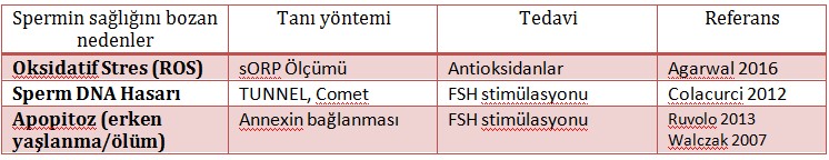 oksidatif_stres3.jpg.jpg