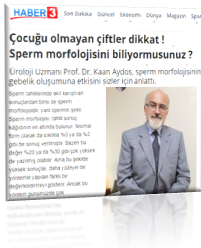 sperm_morfolojisi