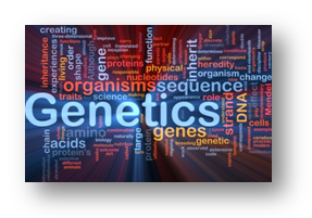 genetics